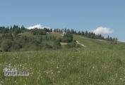 KAPLNKA BOZIEHO MILOSRDENSTVA ORAVA (3)
