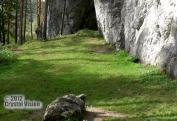 LEZECKE_SKALY_LIETACKY.Still001