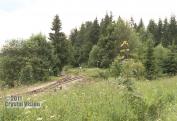 Hor. zeleznivca Or. Lesna (15)