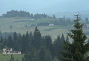 Hor. zeleznivca Or. Lesna (18)